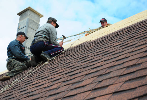 Best Roof Gutter Cleaning  in Ilco, WA